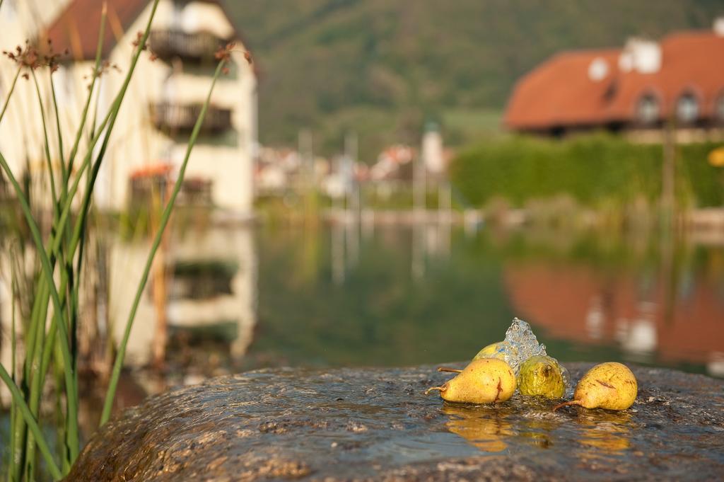 Romantikhotel Residenz Wachau Aggsbach ภายนอก รูปภาพ